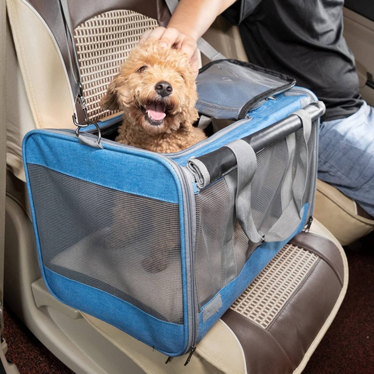 Cat Carrier Backpack - Foldable Breathable Pet Travel Bag