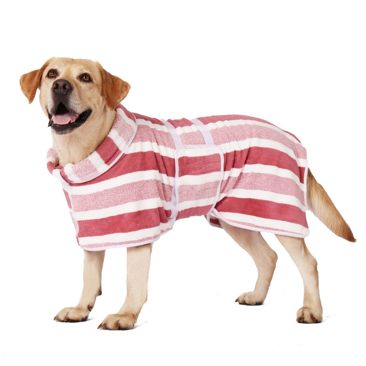 XL Quick-Drying Dog Bathrobe with Adjustable Band