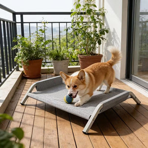 Large Elevated Dog Bed with Breathable Mesh