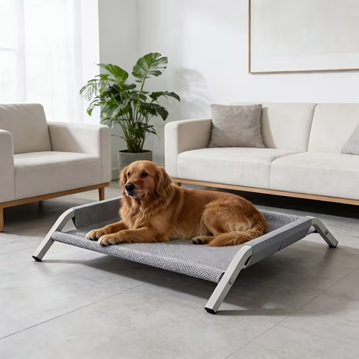 Large Elevated Dog Bed with Breathable Mesh