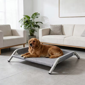 Large Elevated Dog Bed with Breathable Mesh