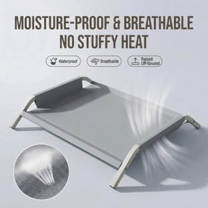 Large Elevated Dog Bed with Breathable Mesh