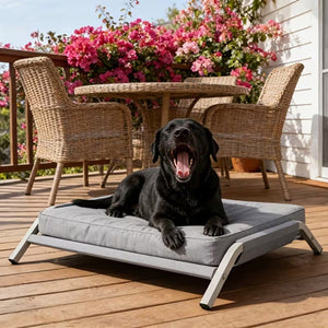 Large Elevated Dog Bed with Breathable Mesh