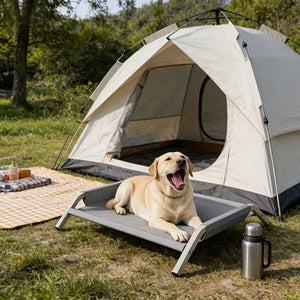 Large Elevated Dog Bed with Breathable Mesh