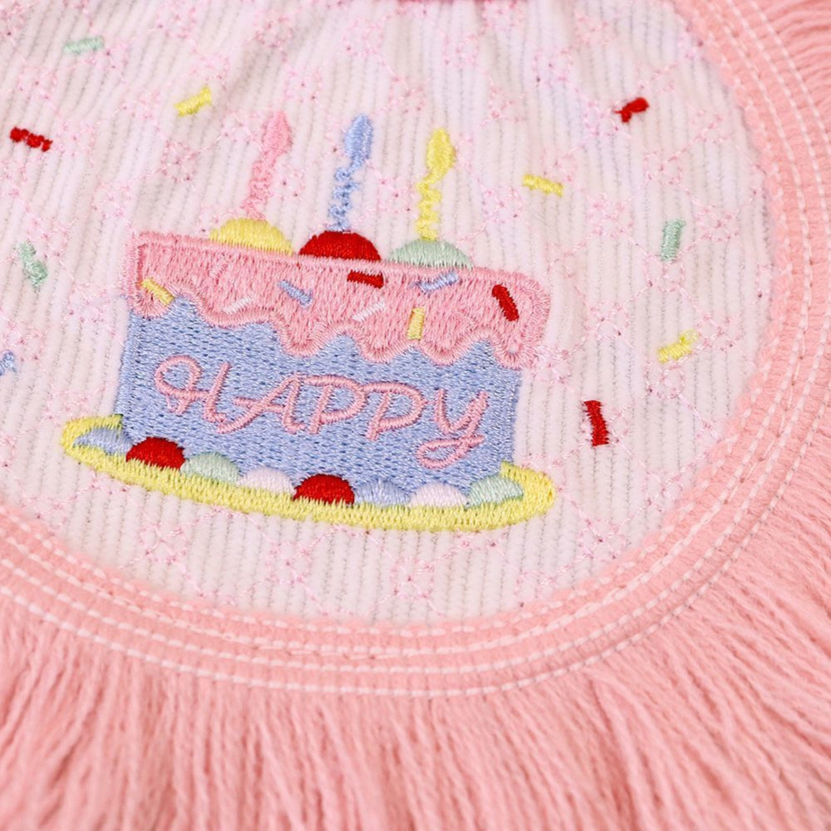 Pet Birthday Outfit Birthday Bib And Hat Set