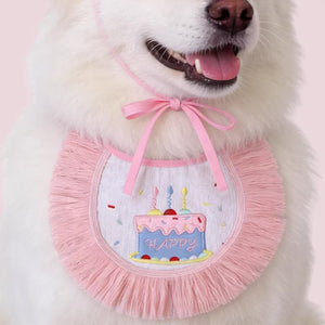 Pet Birthday Outfit Birthday Bib And Hat Set