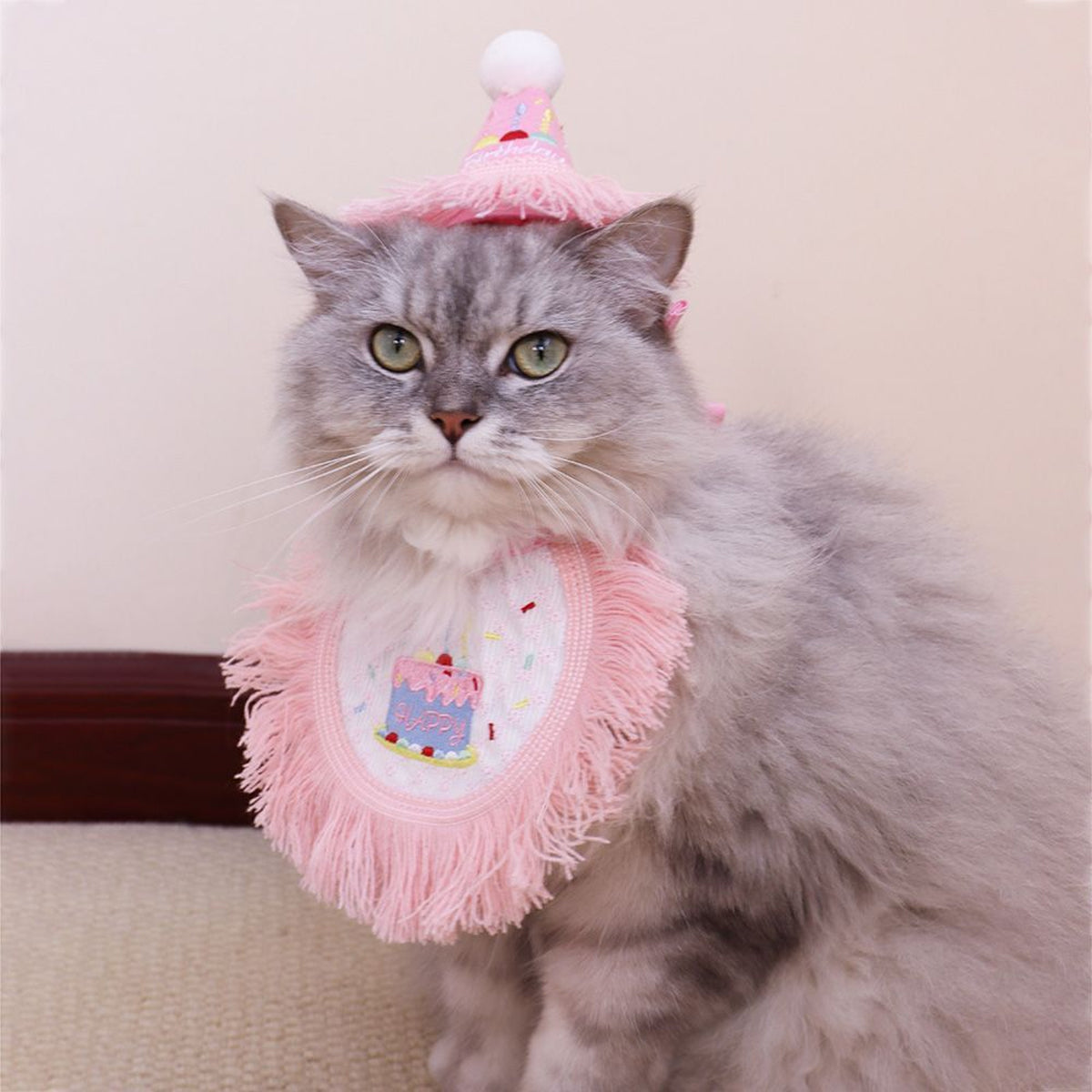 Pet Birthday Outfit Birthday Bib And Hat Set