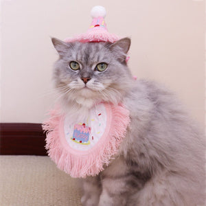 Pet Birthday Outfit Birthday Bib And Hat Set