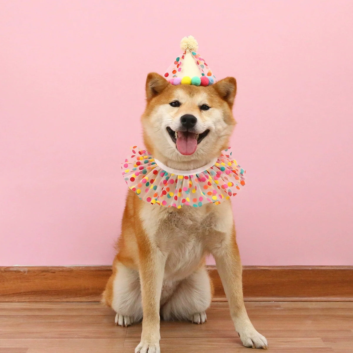 Cute Pet Birthday Dress Up Set with Hat and Ruffle Collar