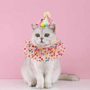 Cute Pet Birthday Dress Up Set with Hat and Ruffle Collar