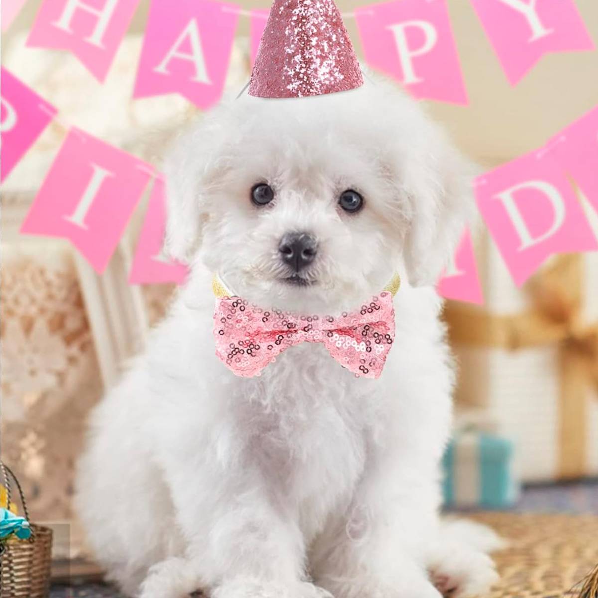 Pet Birthday Hat Sequin Party Hat With Bow Tie