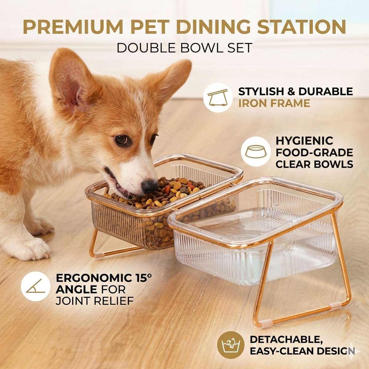 Raised Double Dog Bowls with 15° Angled Stand