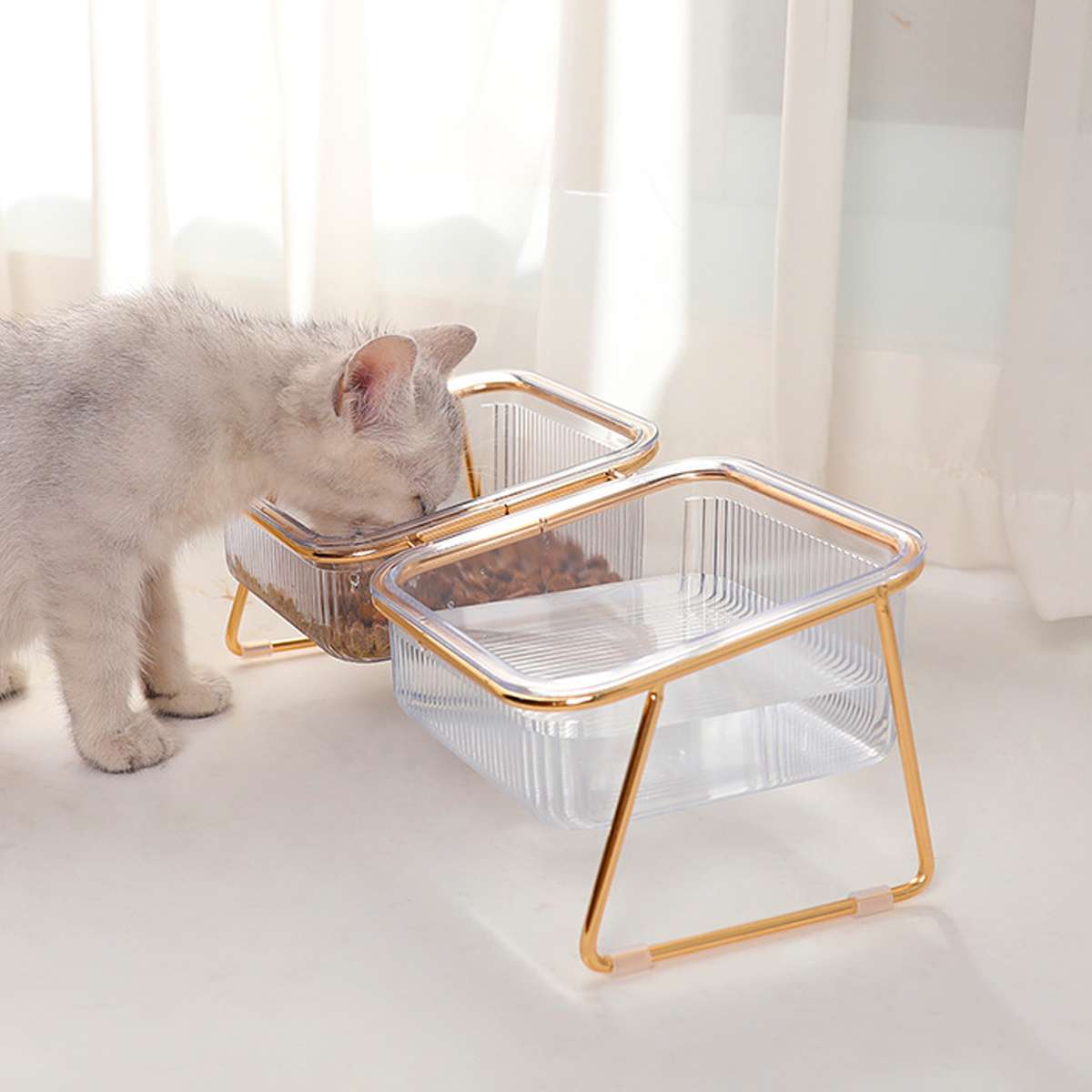 Raised Double Dog Bowls with 15° Angled Stand