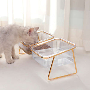 Raised Double Dog Bowls with 15° Angled Stand