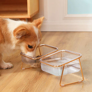 Raised Double Dog Bowls with 15° Angled Stand