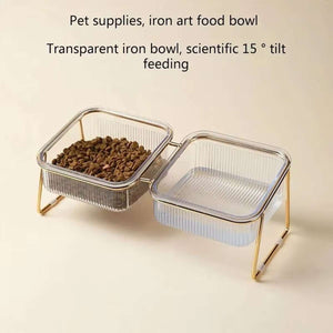Raised Double Dog Bowls with 15° Angled Stand