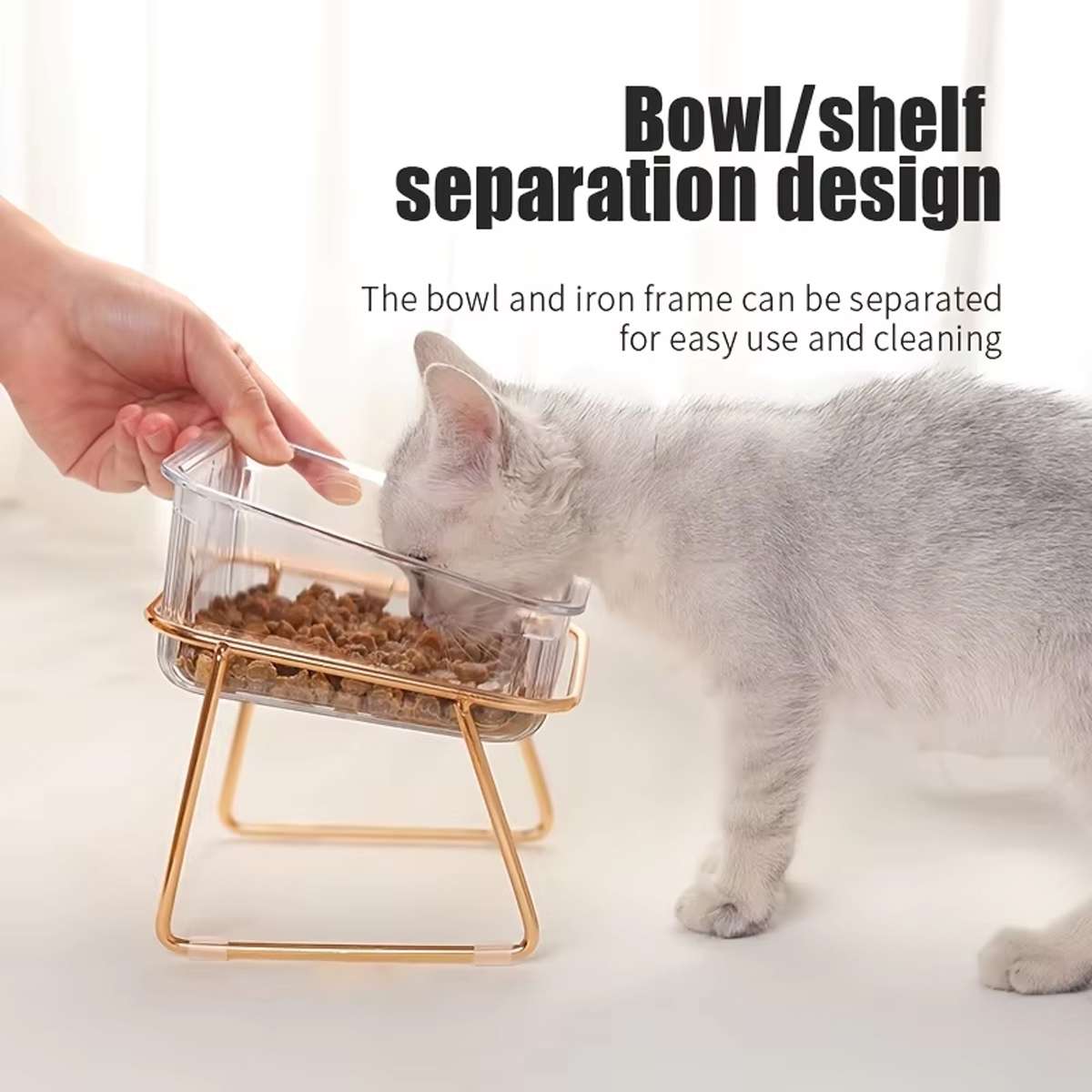 Raised Double Dog Bowls with 15° Angled Stand