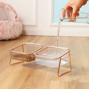 Raised Double Dog Bowls with 15° Angled Stand