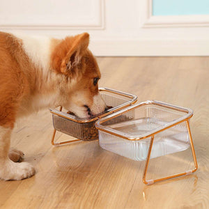 Raised Double Dog Bowls with 15° Angled Stand