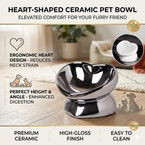 Pet Ceramic Bowl - Anti-Knock Cat & Dog Feeding Dish