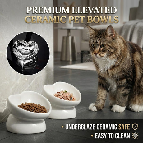 Anti-knock ceramic pet bowl for cats and small dogs – product view 2