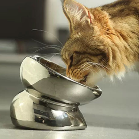 Anti-knock ceramic pet bowl for cats and small dogs – product view 13