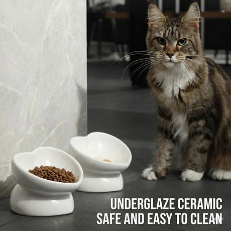 Anti-knock ceramic pet bowl for cats and small dogs – product view 7