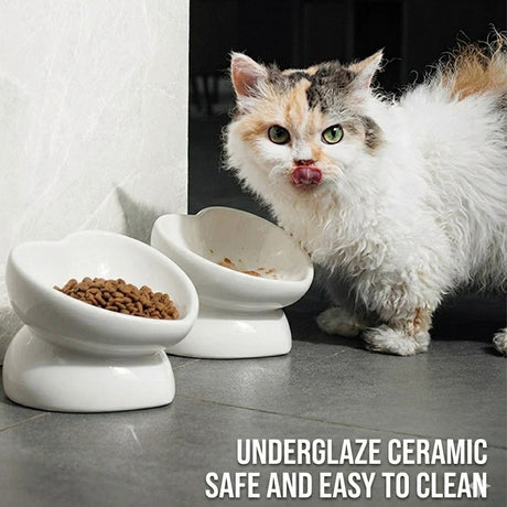 Anti-knock ceramic pet bowl for cats and small dogs – product view 11