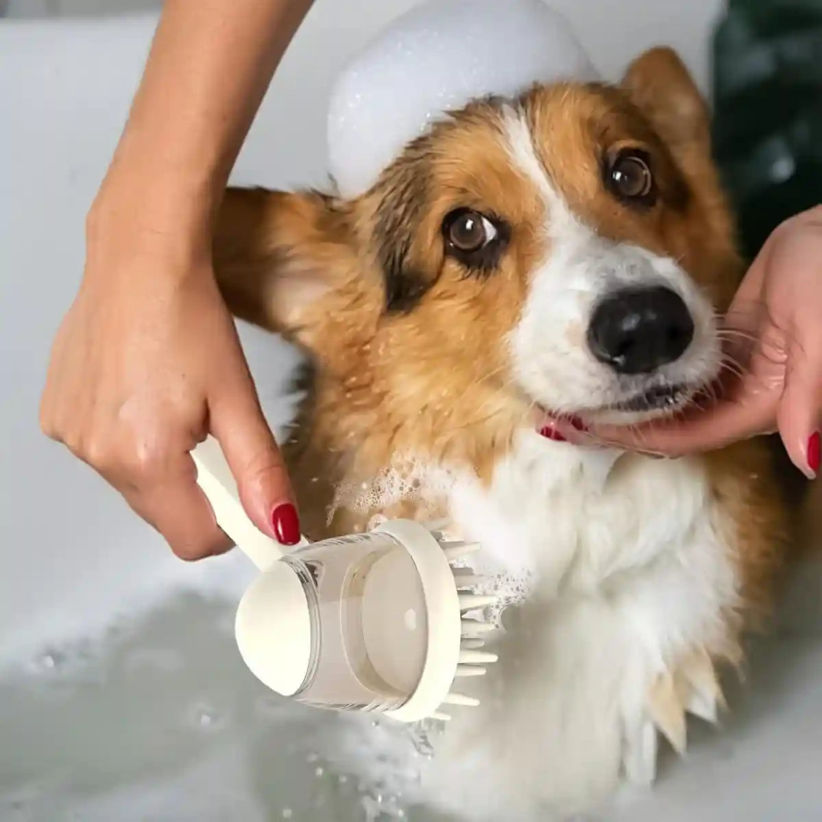 Pet Bath Brush Dog Massage Brush Press to Dispense Liquid Pet Grooming Tools