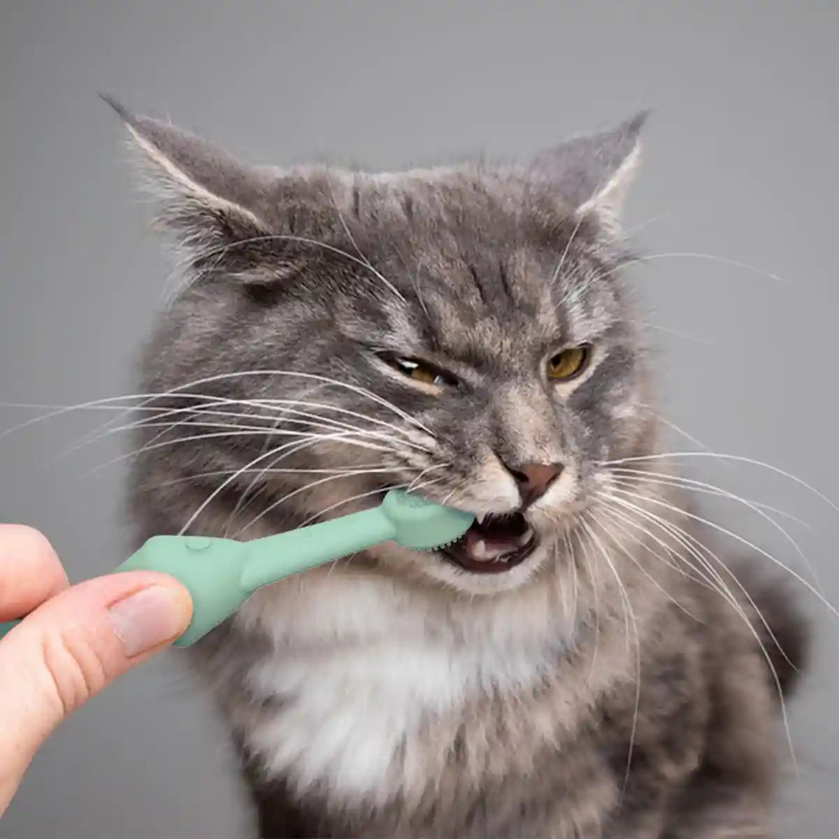 Silicone Pet Toothbrush for Dogs and Cats Gentle Dental Cleaning Brush
