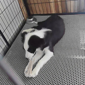 Anti-Slip Pet Cage Plastic Mesh Mat Cut-to-Size Cage Floor Liner