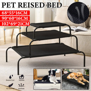 Elevated Dog Beds
