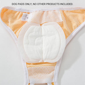 Pad Dog Physiological Pants Menstrual Pants Dog Diaper Pads