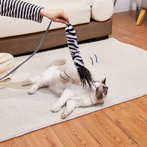 Interactive Cat Toy Wand With Catnip