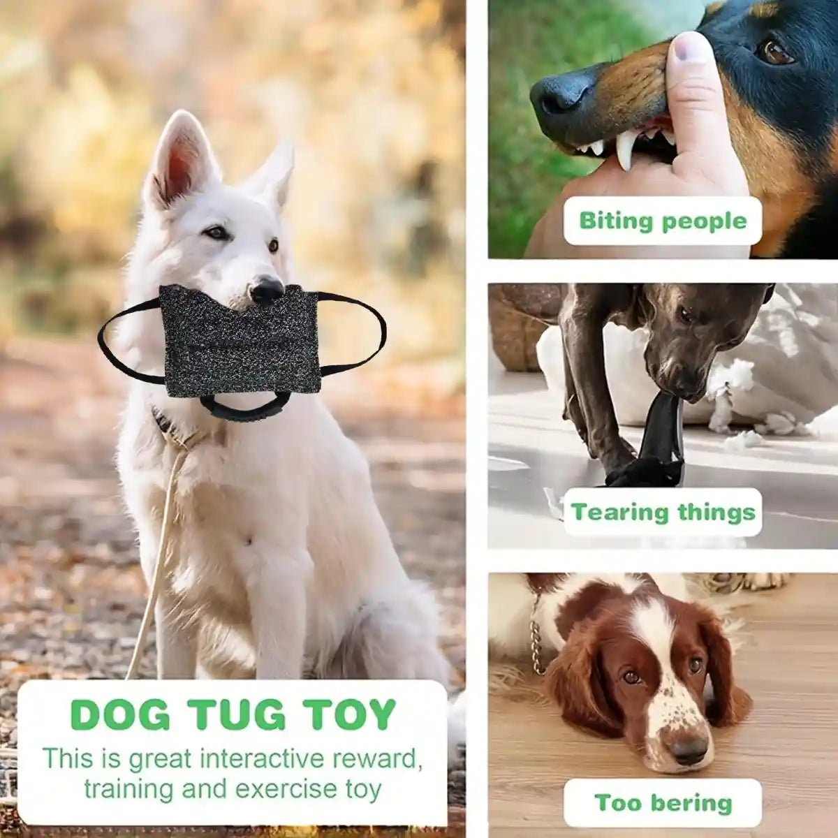 Durable Dog Chew Pillow Tug Toy Interactive Training Tool