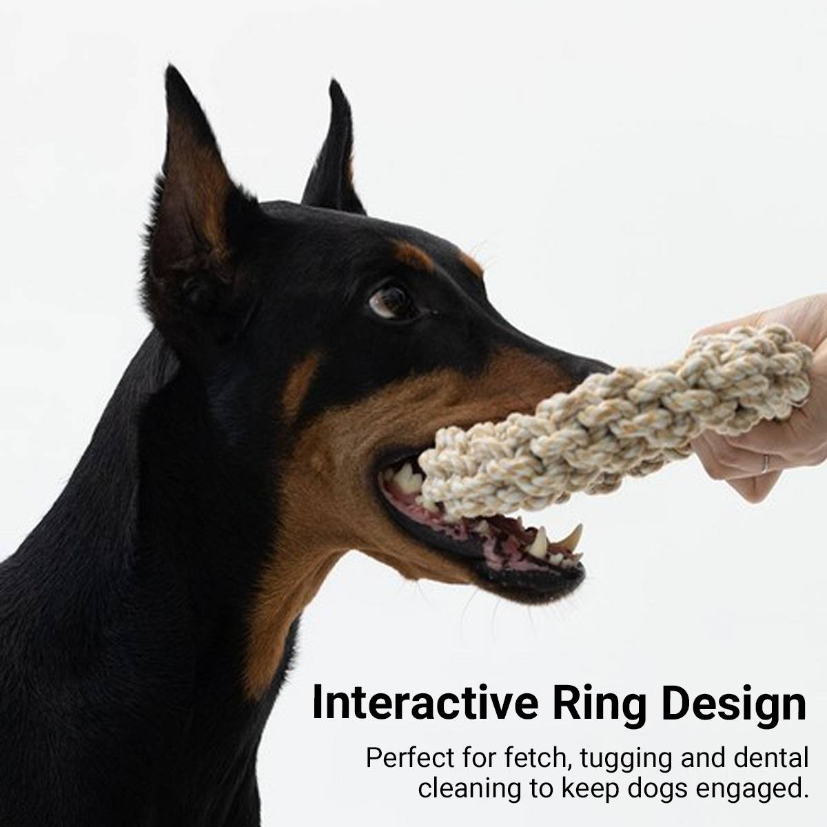 Durable Dog Rope Chew Ring