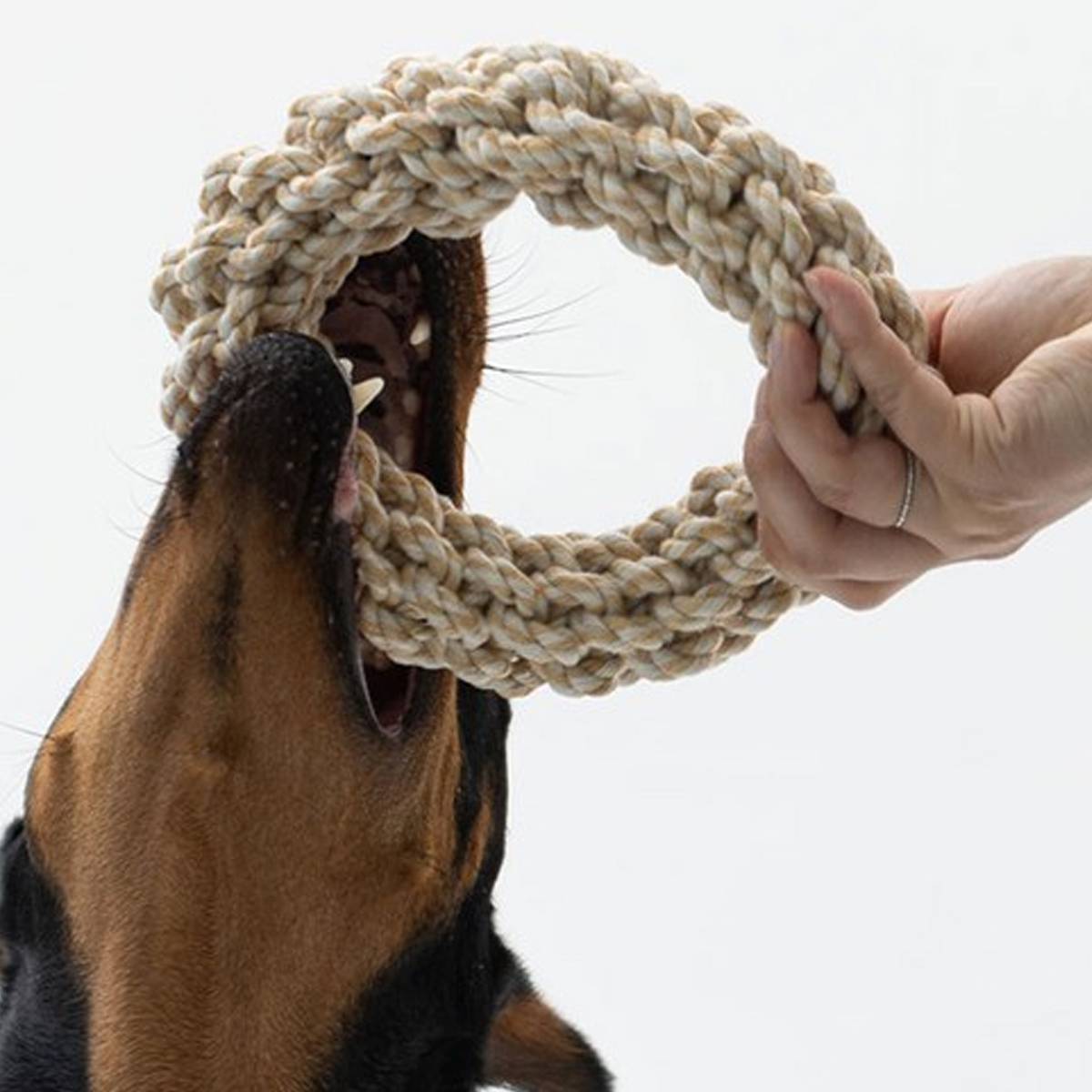 Durable Dog Rope Chew Ring