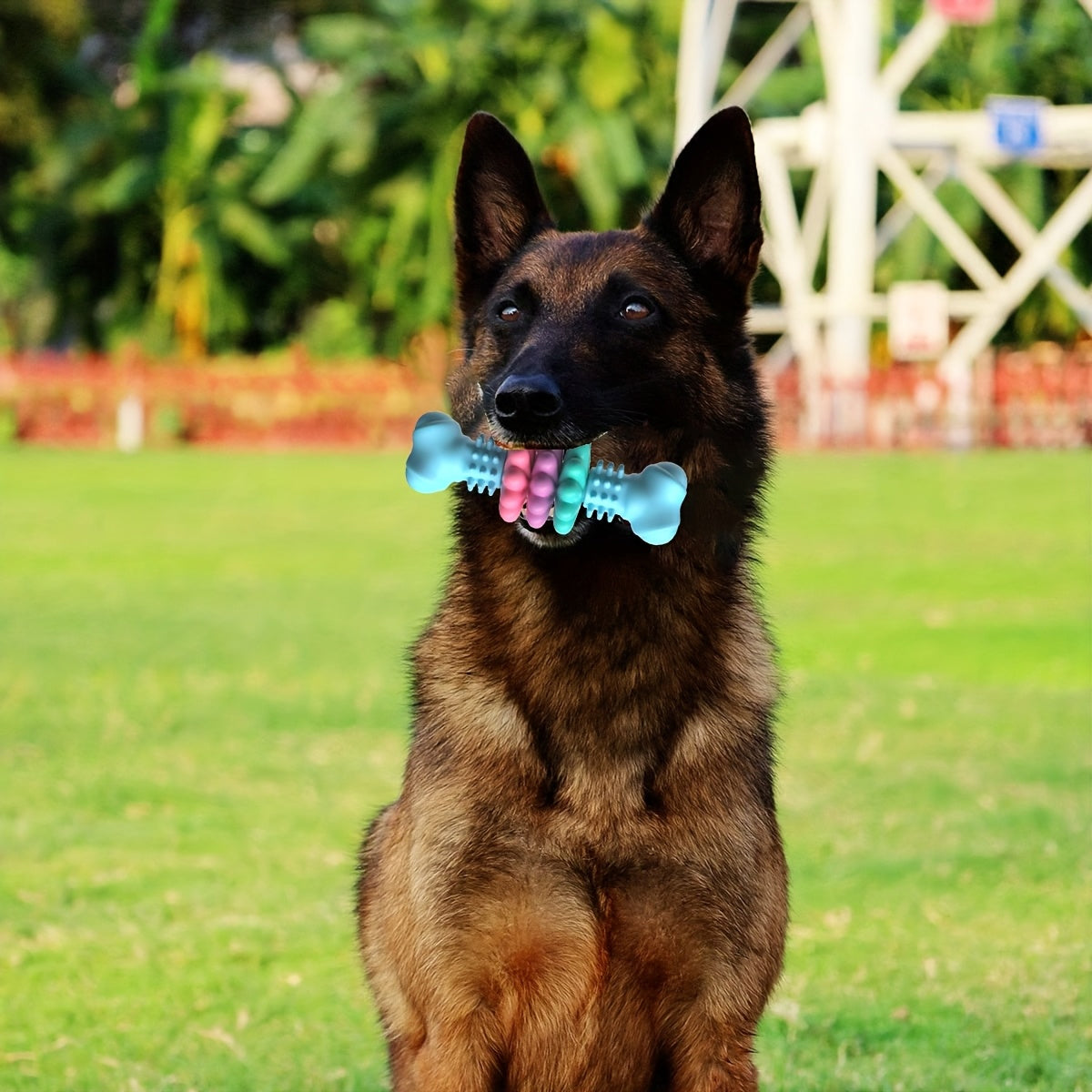 Dog Chew Toy For Teeth Cleaning