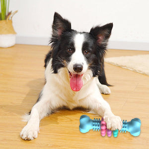 Dog Chew Toy For Teeth Cleaning