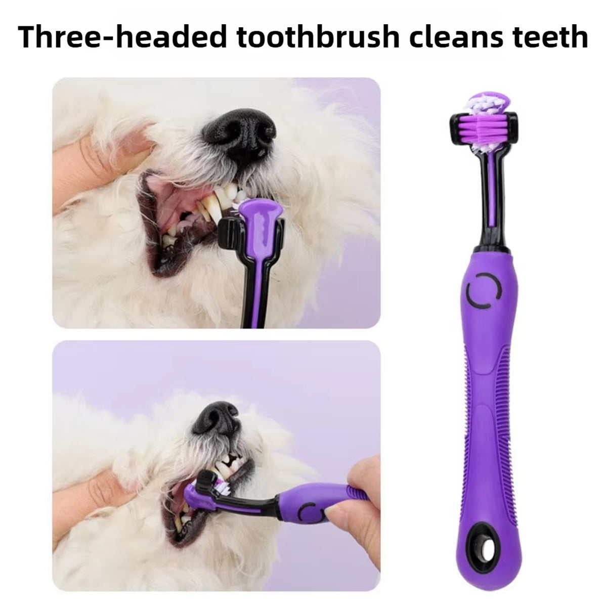 Pet Comb Set Dog Beauty Scissors Hair Removal Needle Comb Nail Scissors Cat Row Comb Cat Gloves 9-piece Set