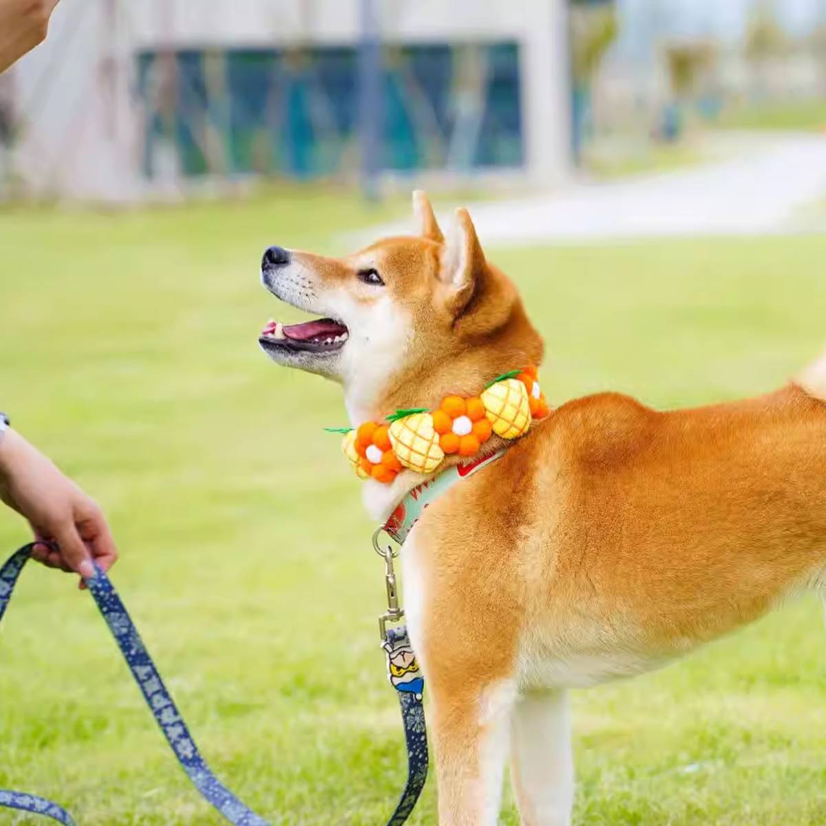 Pineapple Dog Collar Adjustable Floral Necklace