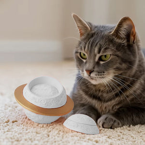 Planet Style Pet Cremation Urn for Dogs and Cats
