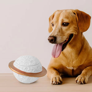 Planet Style Pet Cremation Urn for Dogs and Cats