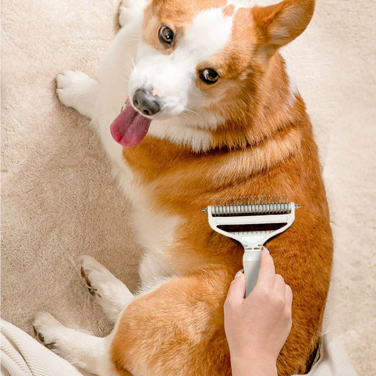Pet Detangling Comb 2-in-1 Grooming Tool