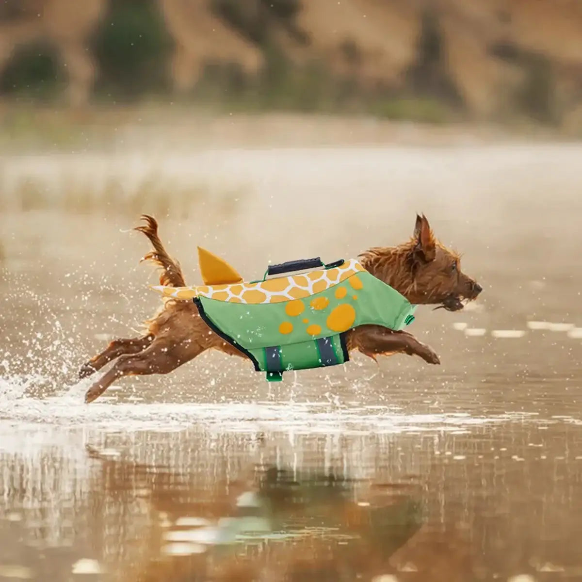 Shark Style Dog Life Jacket Float Vest for Swimming & Safety