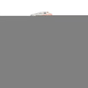 Portable Grooming Solution with Foldable Dog Dryer Box for Cats and Small Dogs