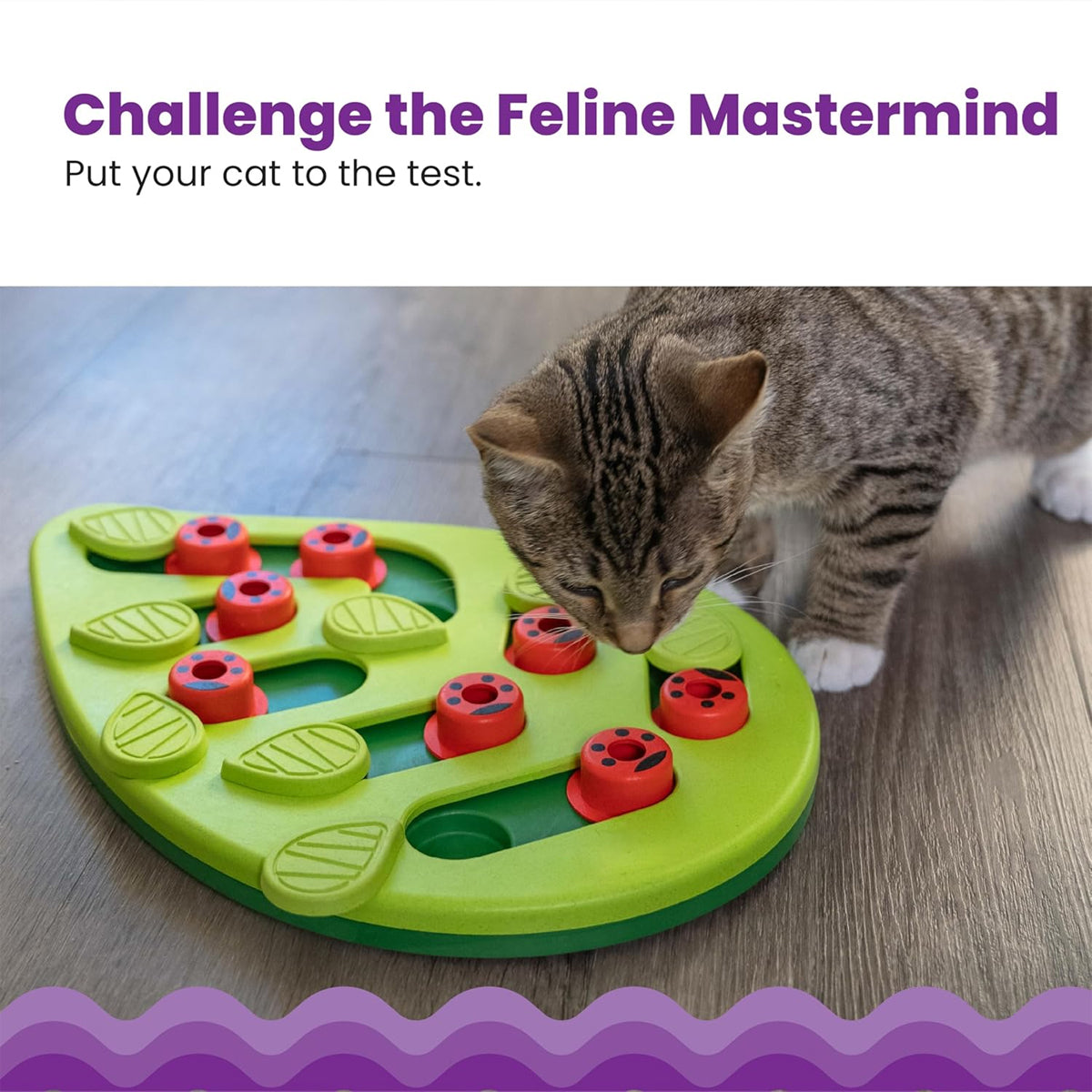 Cat Slow Feeder Bowl Puzzle Interactive Enrichment Toy Pet Educational Non-Toxic