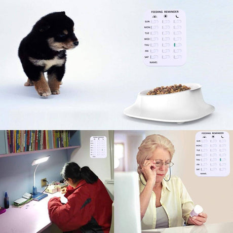 Magnetic pet feeding reminder chart for dogs and cats – product view 6