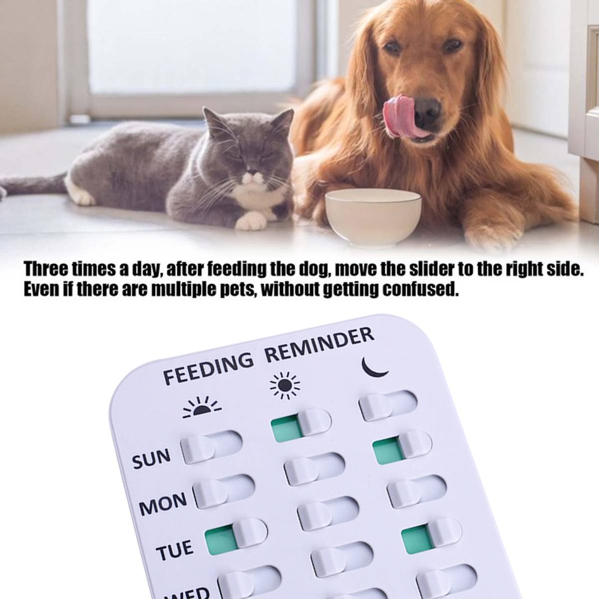 Pet Feeding Record Card - Magnetic Dog Feeding Chart Tracker