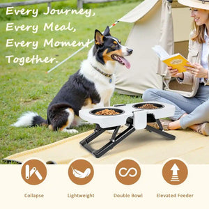 Foldable Elevated Double Pet Bowl